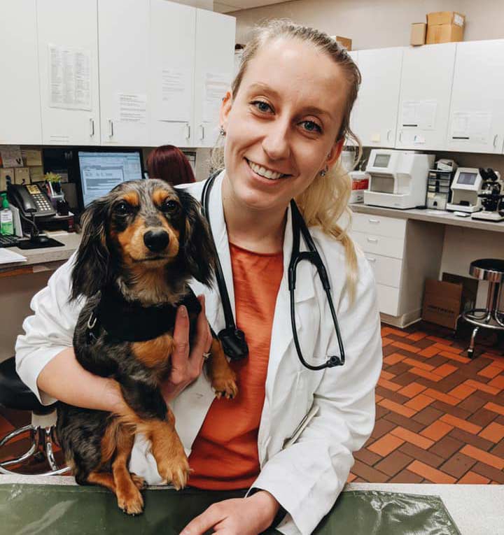 veterinary clinic in Auburn